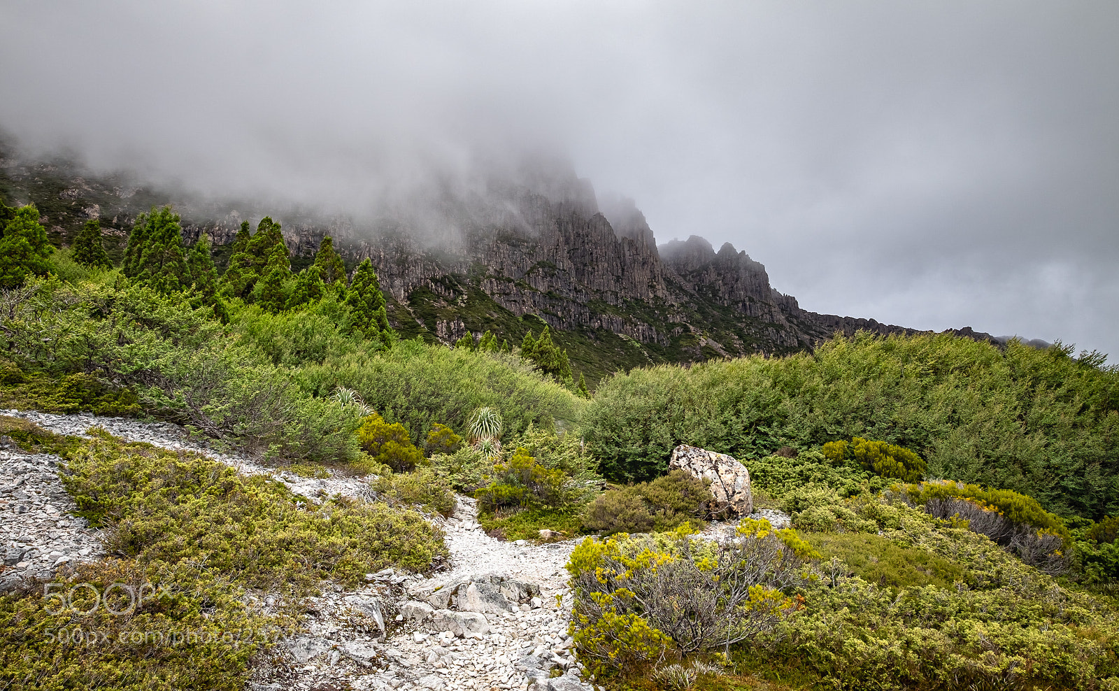 Fujifilm X-T1 sample photo. The misty mountains photography