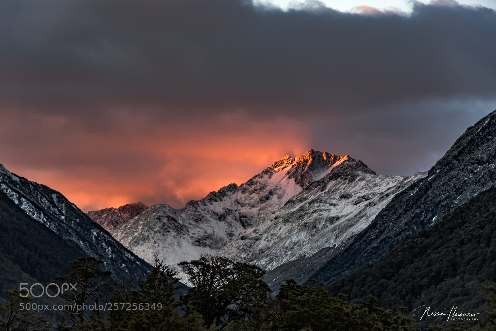 Nikon D750 sample photo. Sunset at arthur pass photography