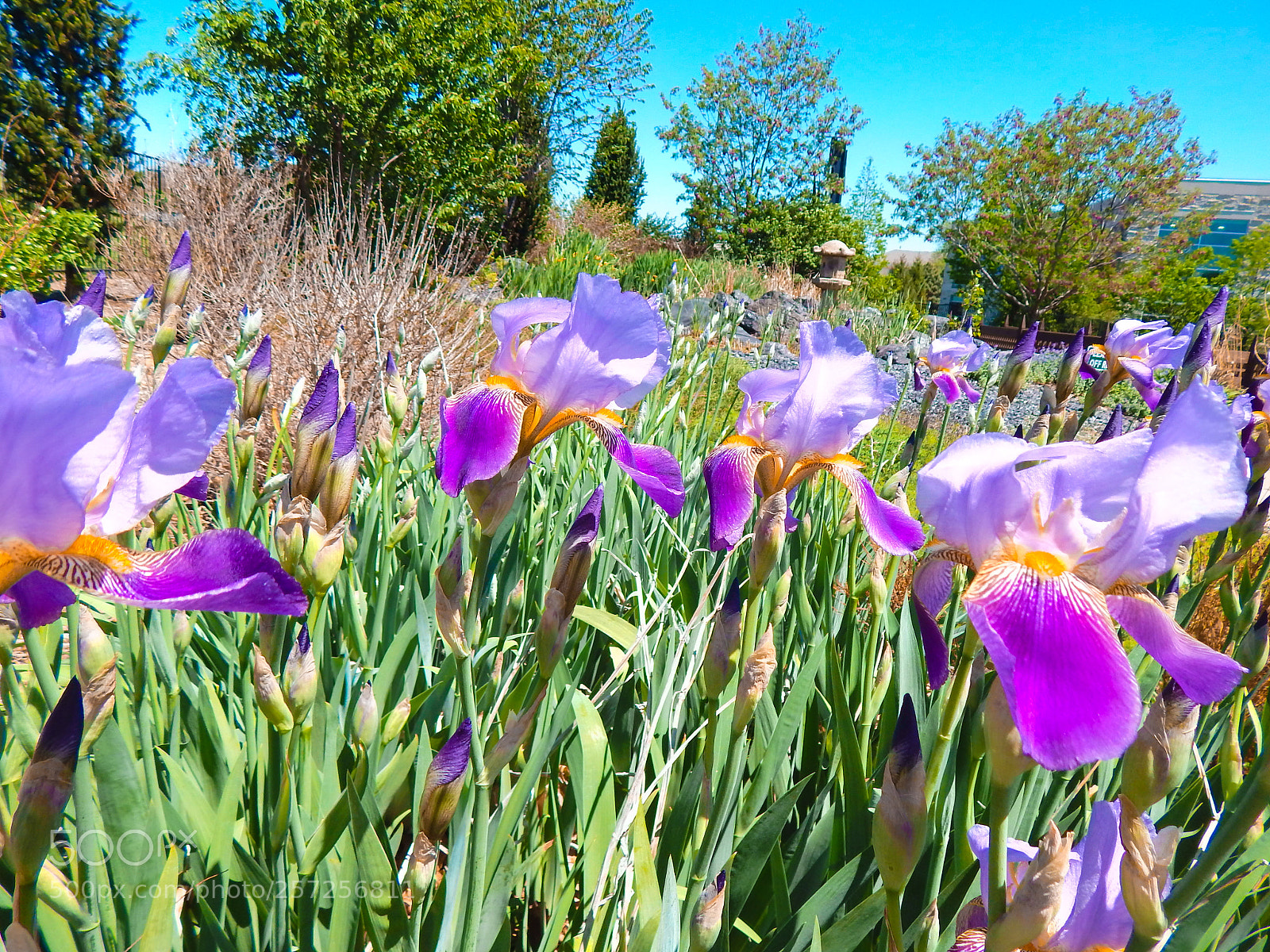 Nikon Coolpix L820 sample photo. Untitled photography