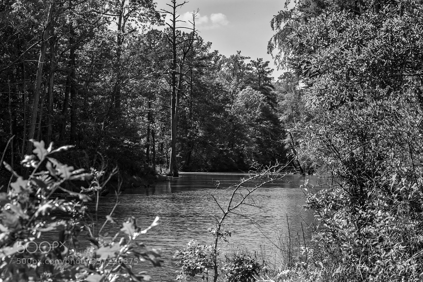Nikon D7200 sample photo. Along the creek 2 photography