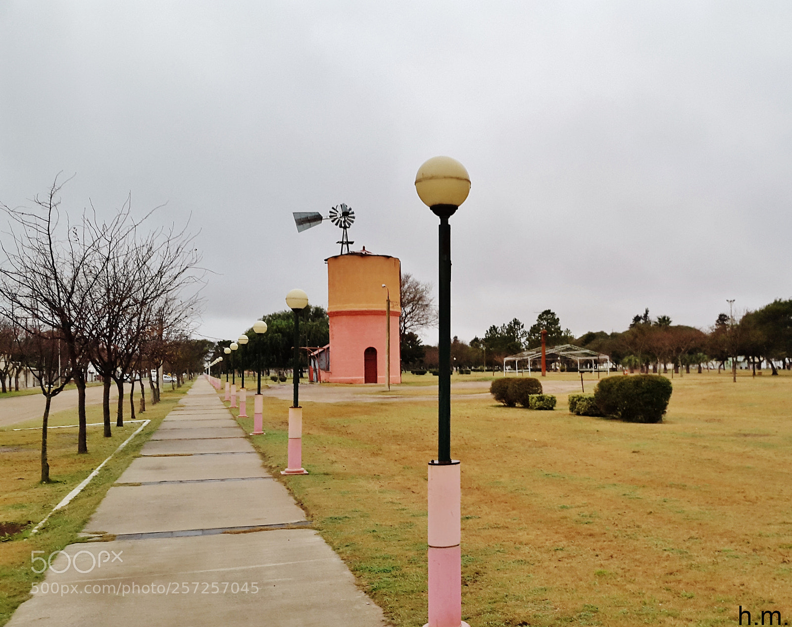 Samsung Galaxy S5 sample photo. Dcafo photography