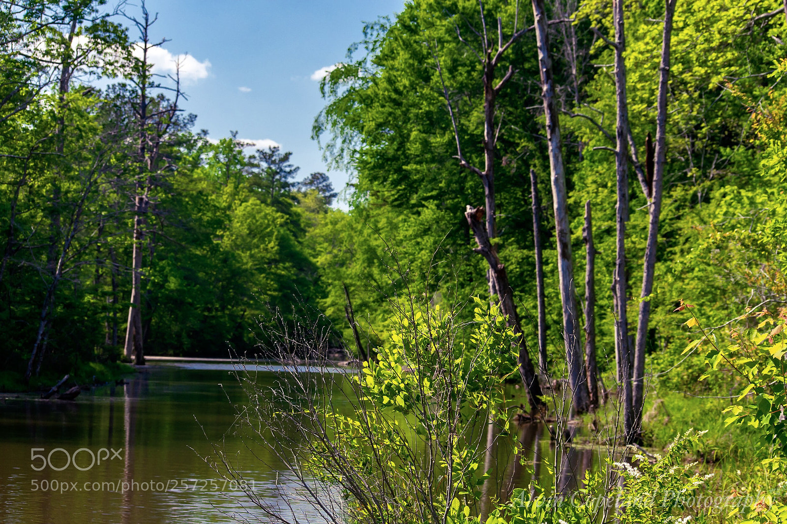 Nikon D7200 sample photo. Along the creek 3 photography