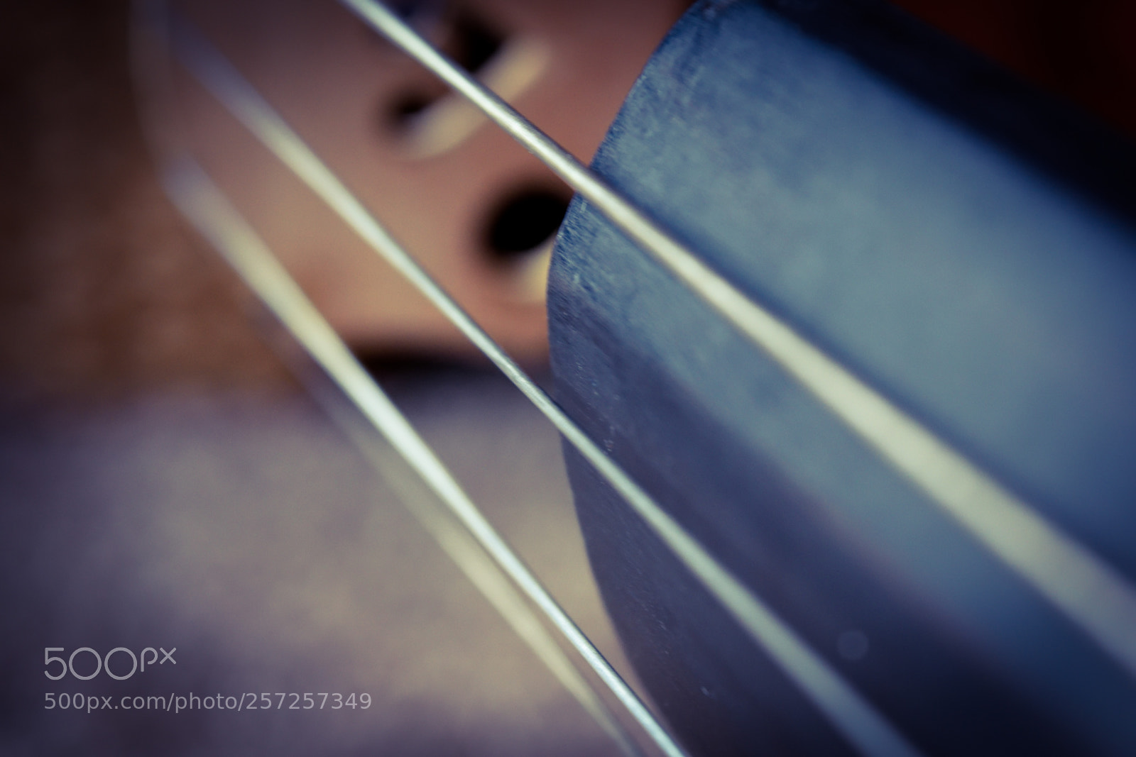 Nikon D3300 sample photo. Fingerboard photography