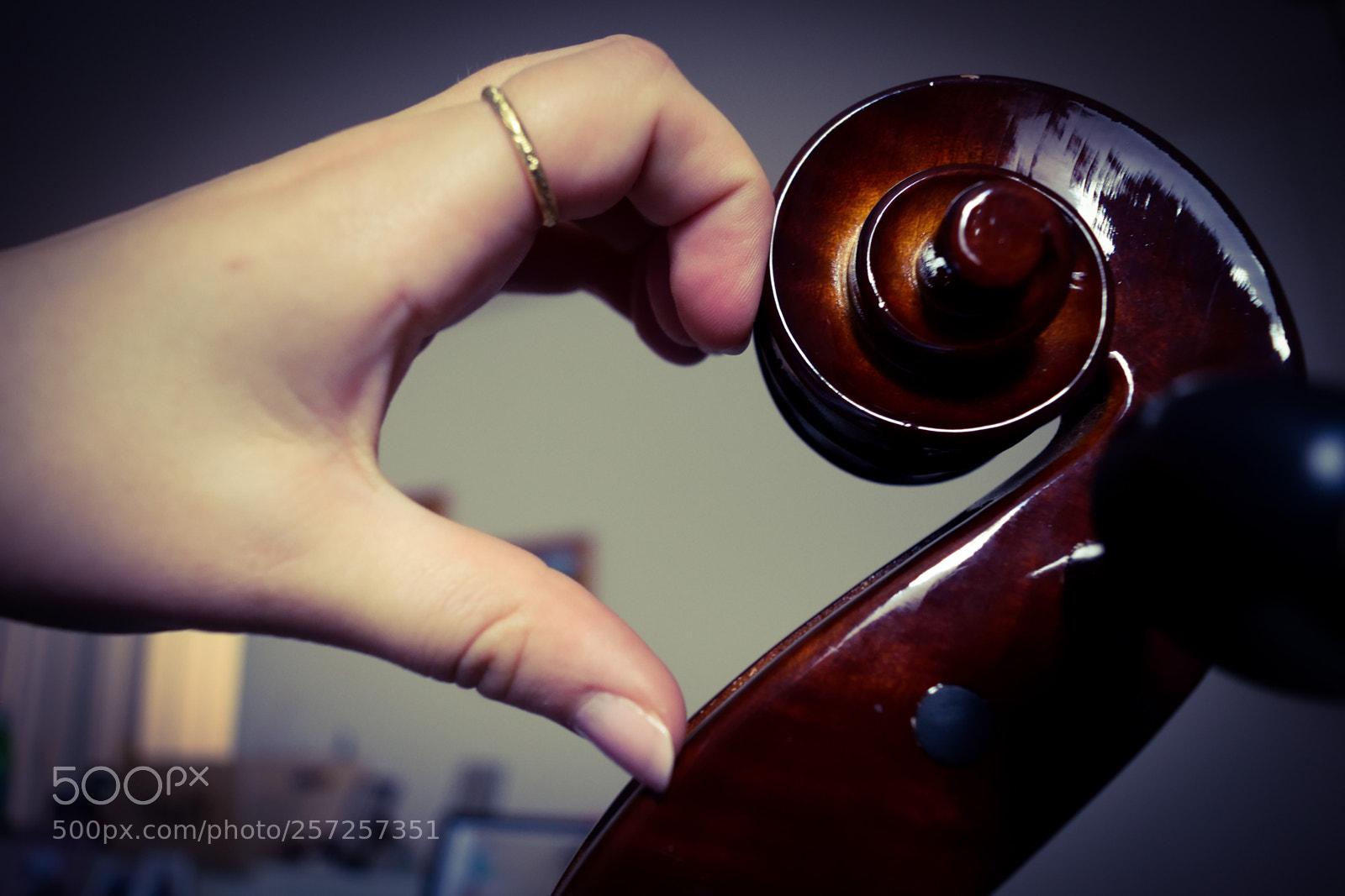 Nikon D3300 sample photo. Cello and cellist as photography