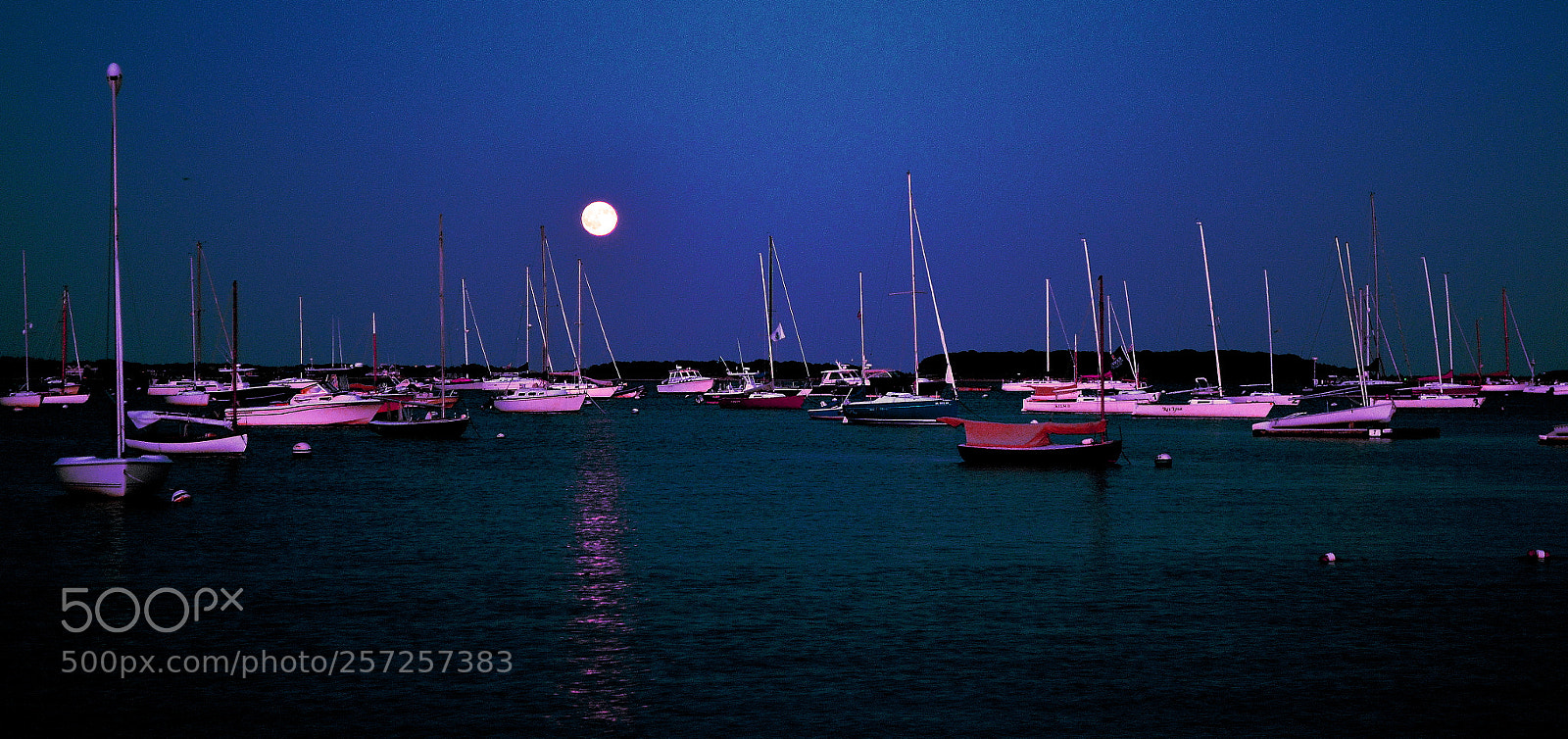 Nikon D3100 sample photo. The harbor photography