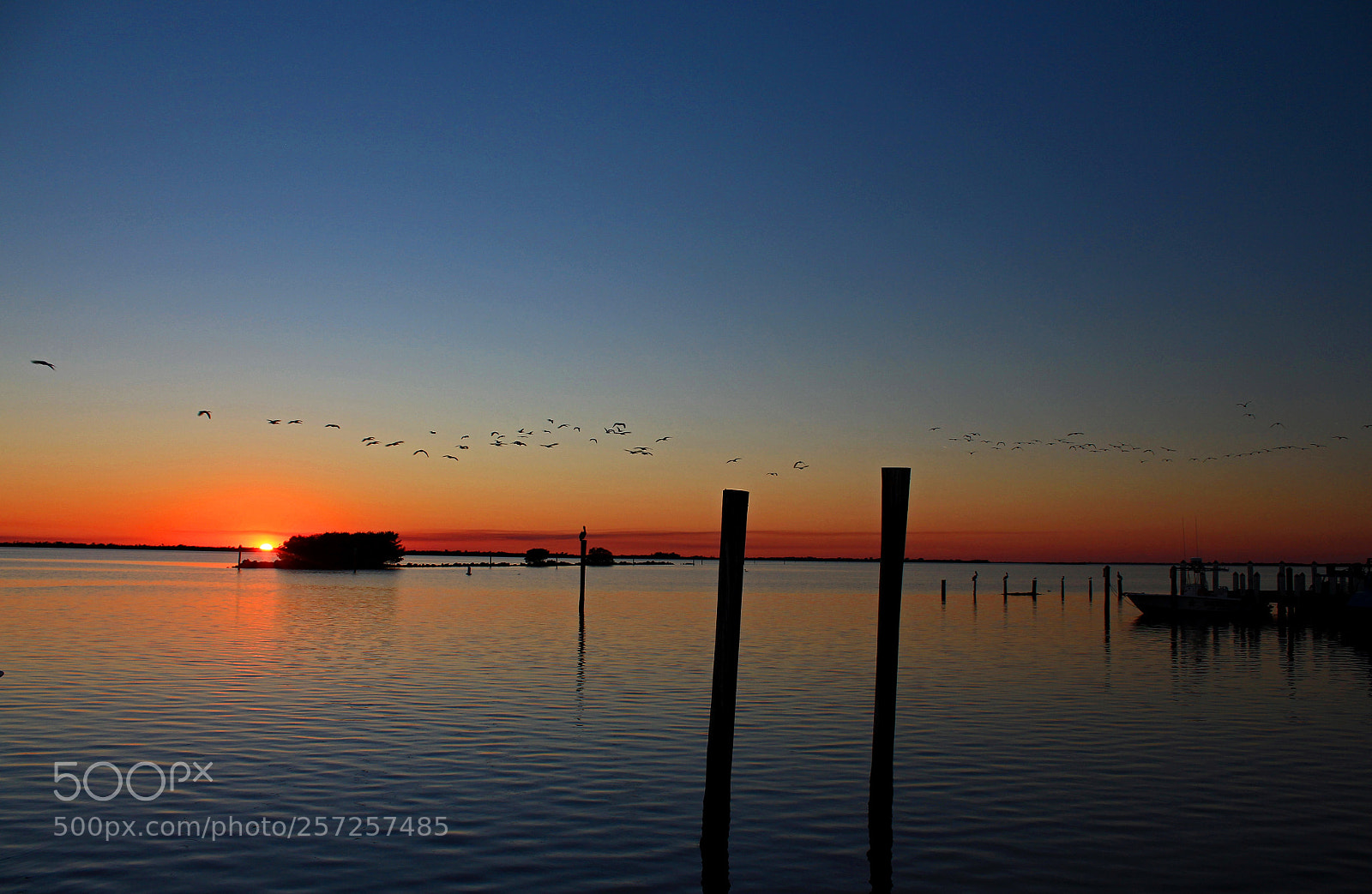 Canon EOS 650D (EOS Rebel T4i / EOS Kiss X6i) sample photo. Sunset migration photography