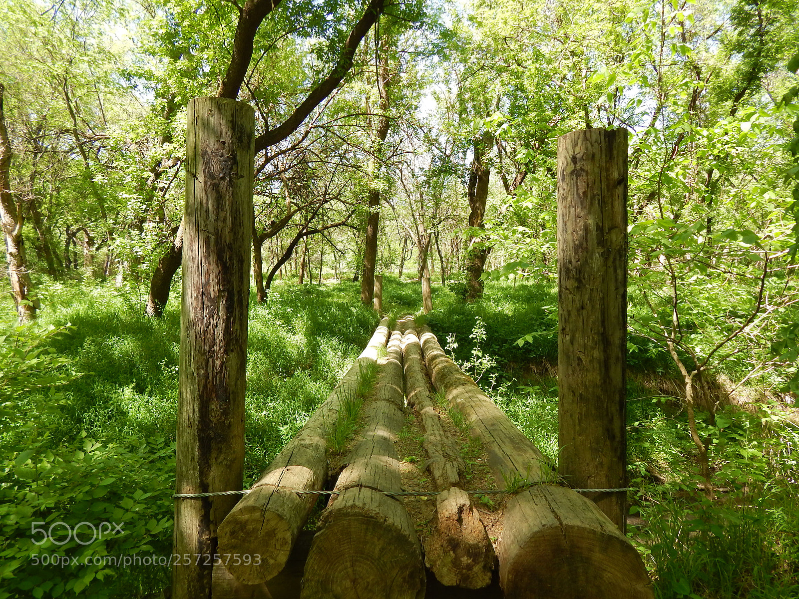 Nikon Coolpix L820 sample photo. Welton park photography