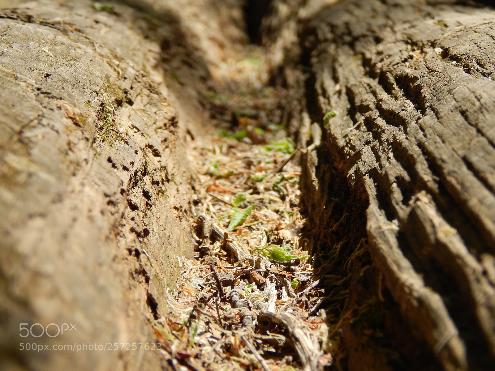 Nikon Coolpix L820 sample photo. Welton park photography