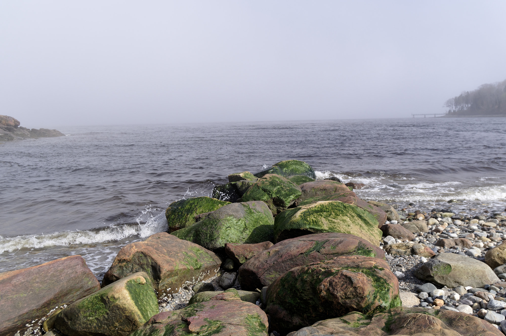 Pentax KP sample photo. Flourescent rocks at duck trap photography