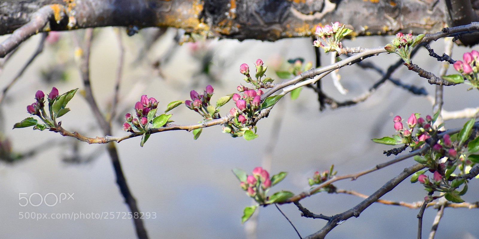 Nikon D3400 sample photo. Colorado color  photography