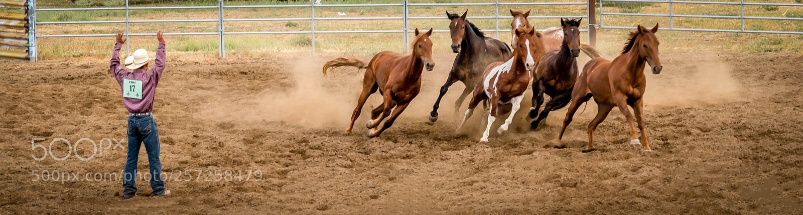 Nikon D750 sample photo. Waterville roundup photography