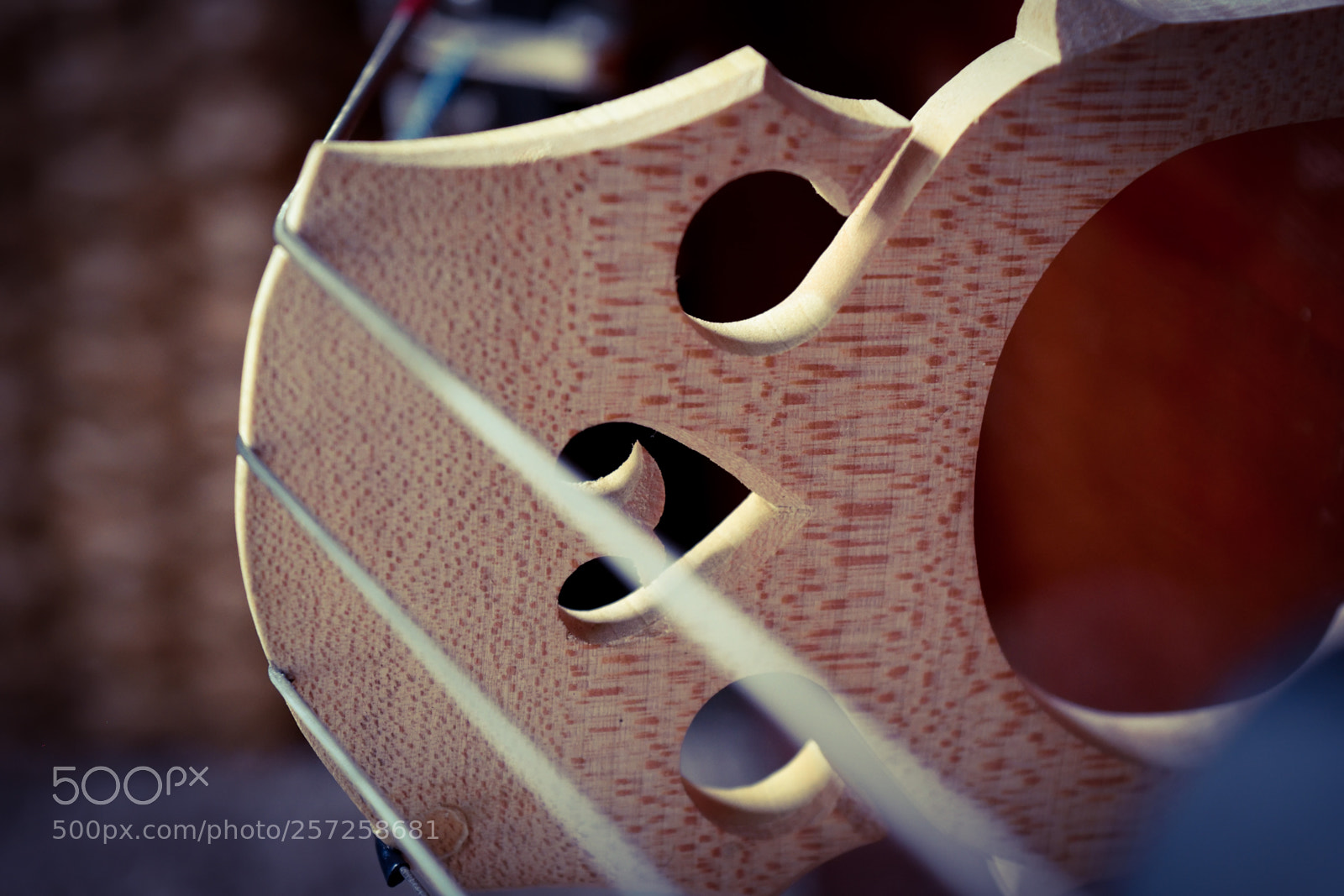 Nikon D3300 sample photo. Cello bridge photography
