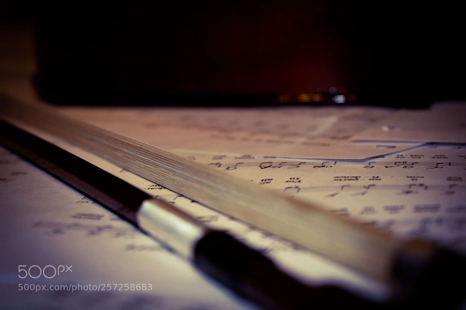Nikon D3300 sample photo. Bow on music sheets photography