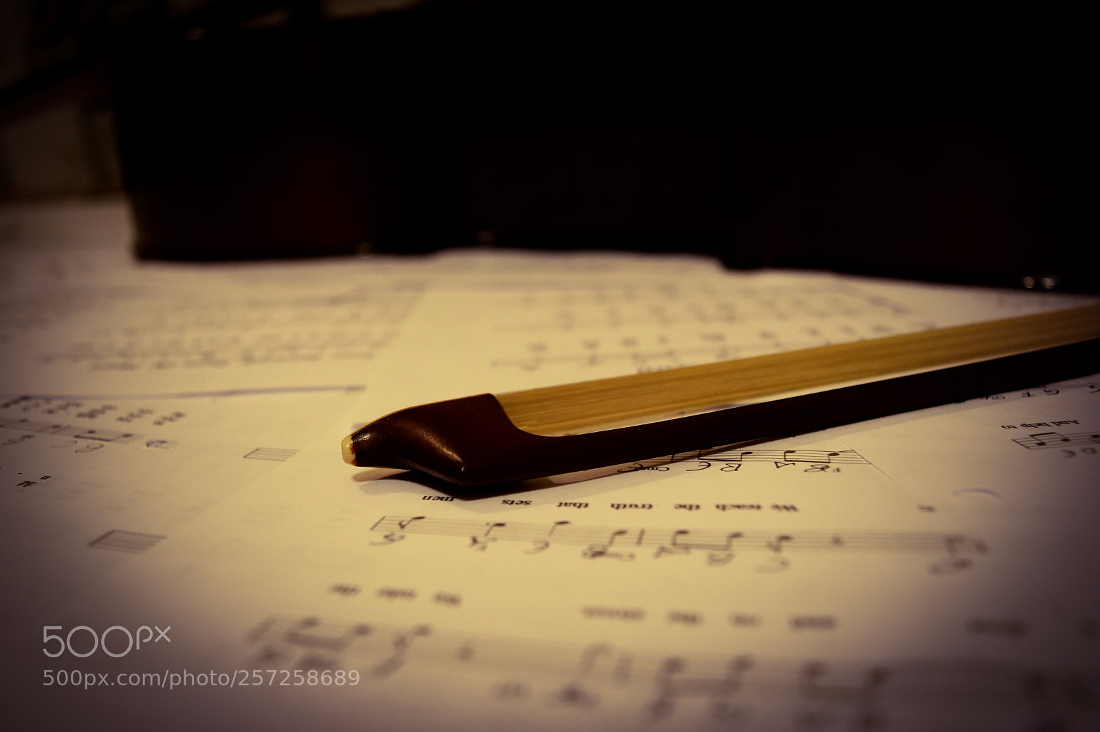 Nikon D3300 sample photo. All alone photography