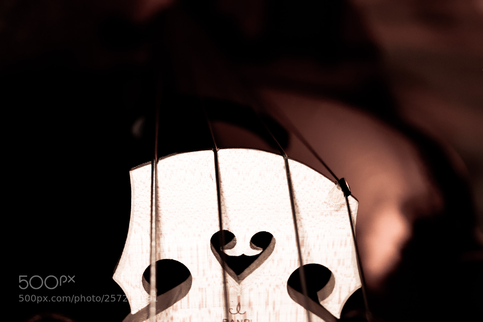 Nikon D3300 sample photo. Cello memories photography