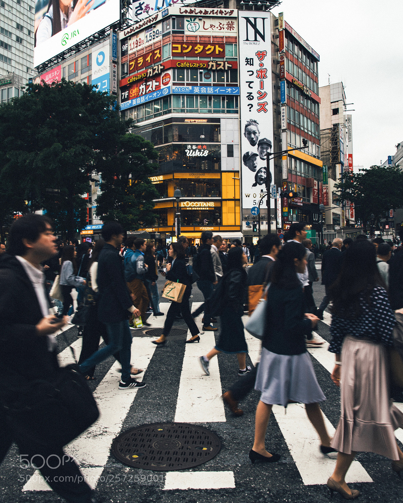 Nikon D810 sample photo. Tokyo photography