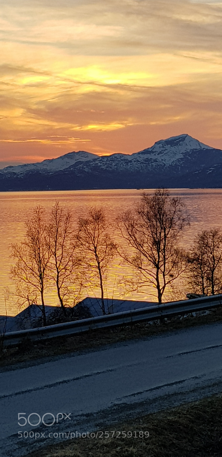 Samsung Galaxy S8 sample photo. Sun is there photography