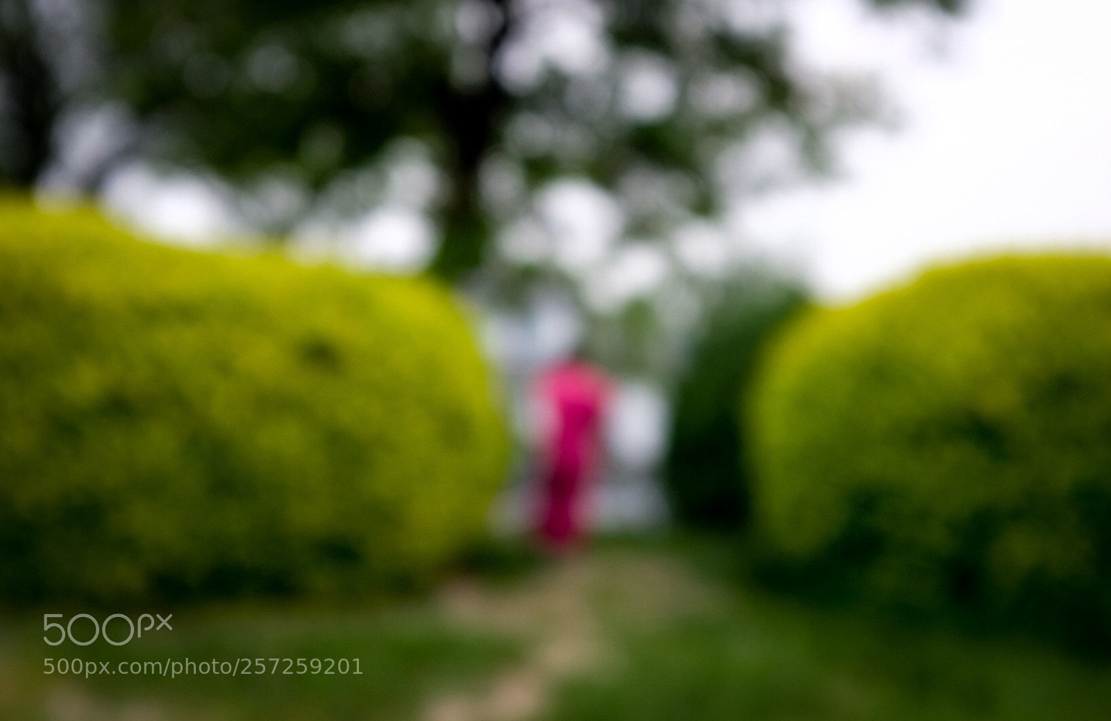Fujifilm X100F sample photo. Untitled photography