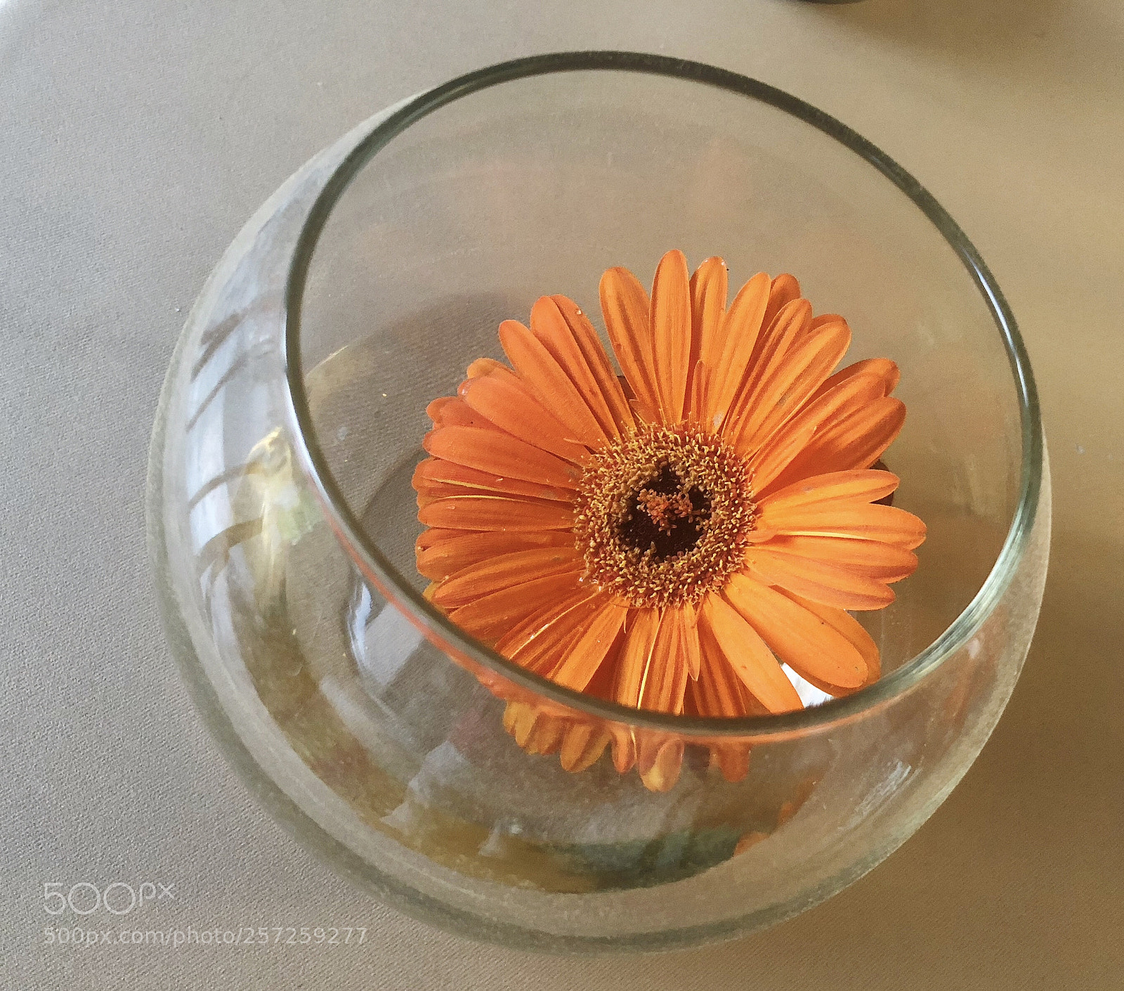 Apple iPhone X sample photo. Untitled photography