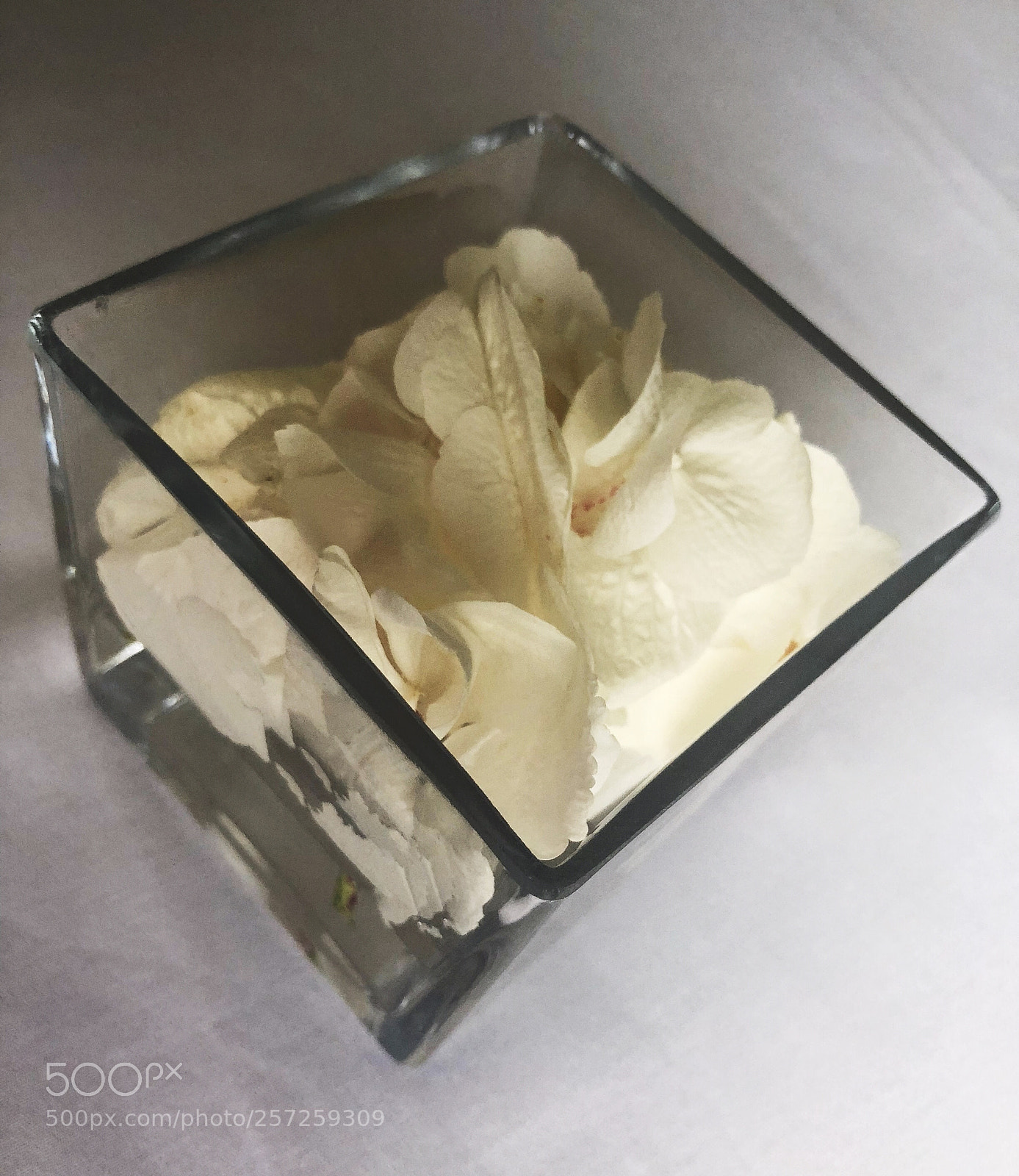 Apple iPhone X sample photo. Untitled photography