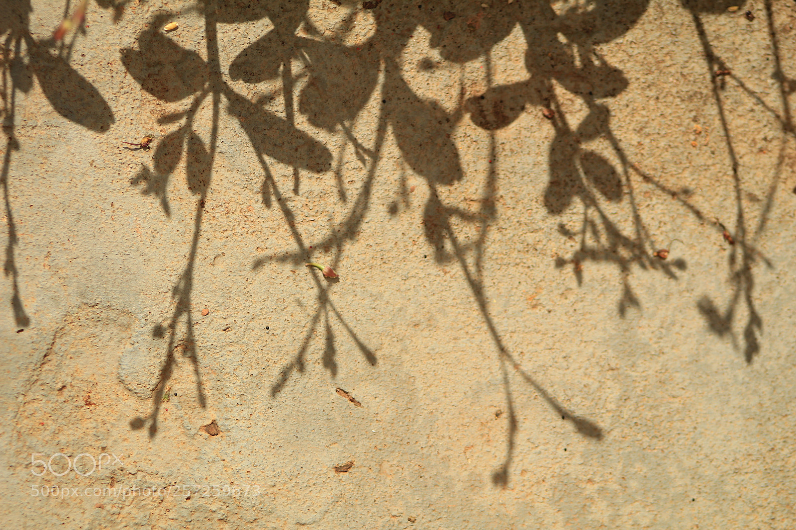 Canon EF 75-300mm f/4-5.6 sample photo. Untitled photography