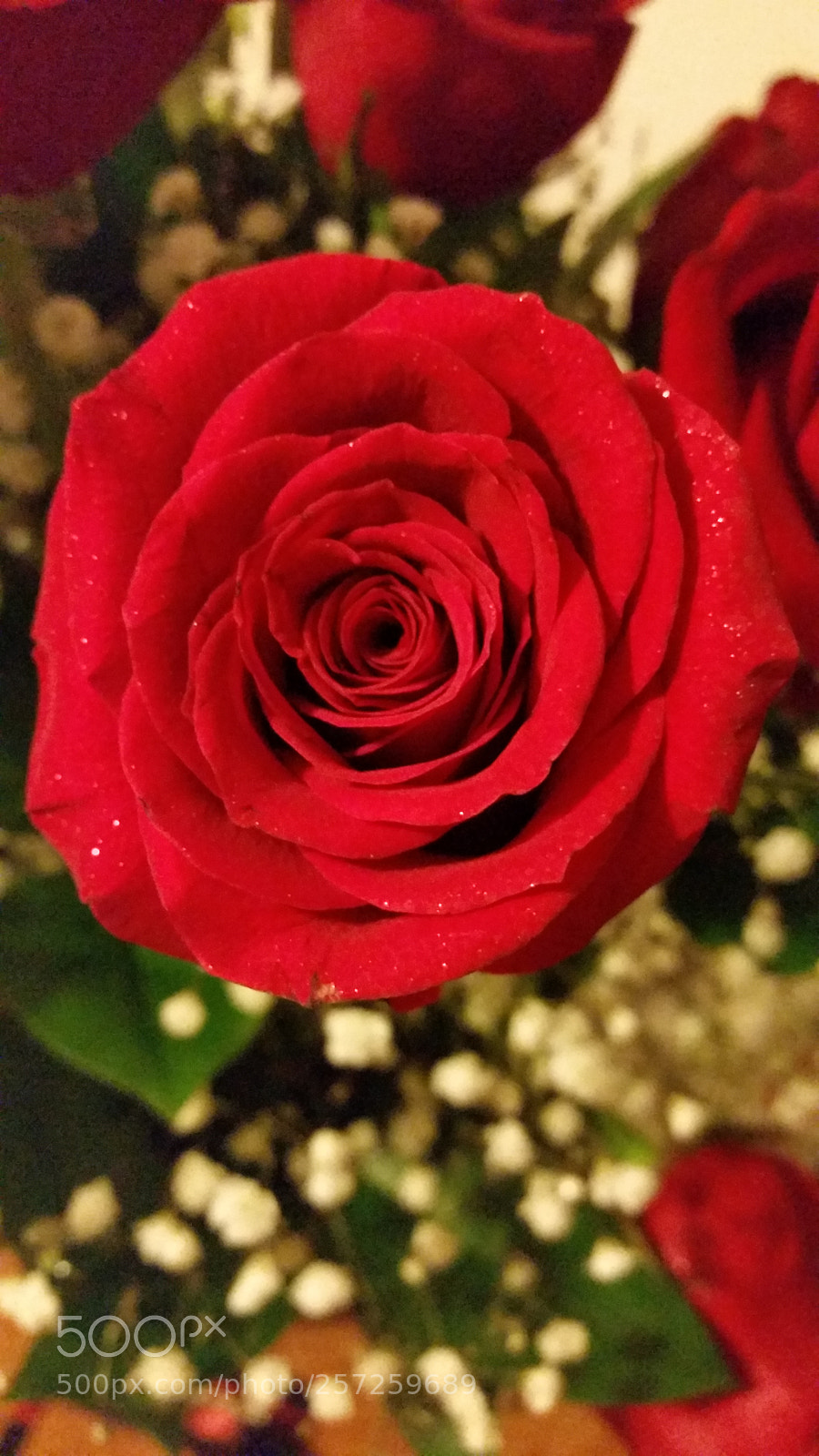Samsung Galaxy S5 sample photo. 20150215_190557.jpg photography