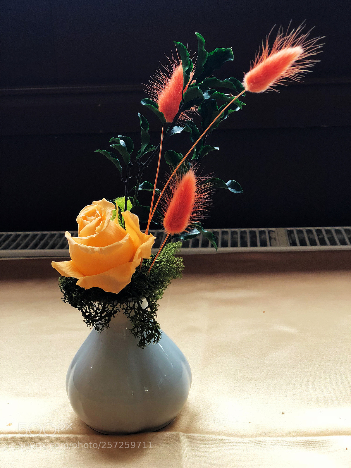 Apple iPhone X sample photo. Untitled photography