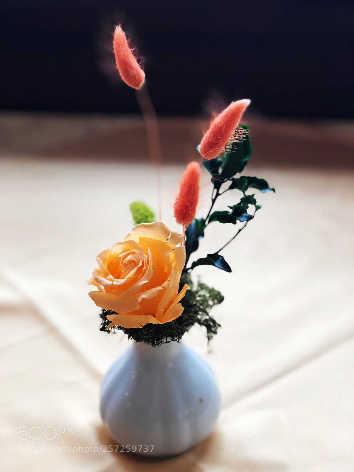 Apple iPhone X sample photo. Untitled photography