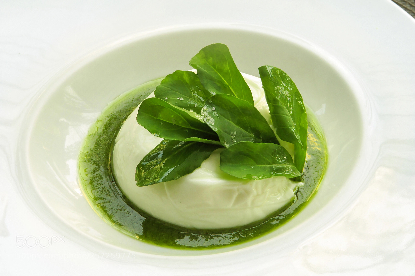 Canon PowerShot SX400 IS sample photo. Burrata - chef fabio photography