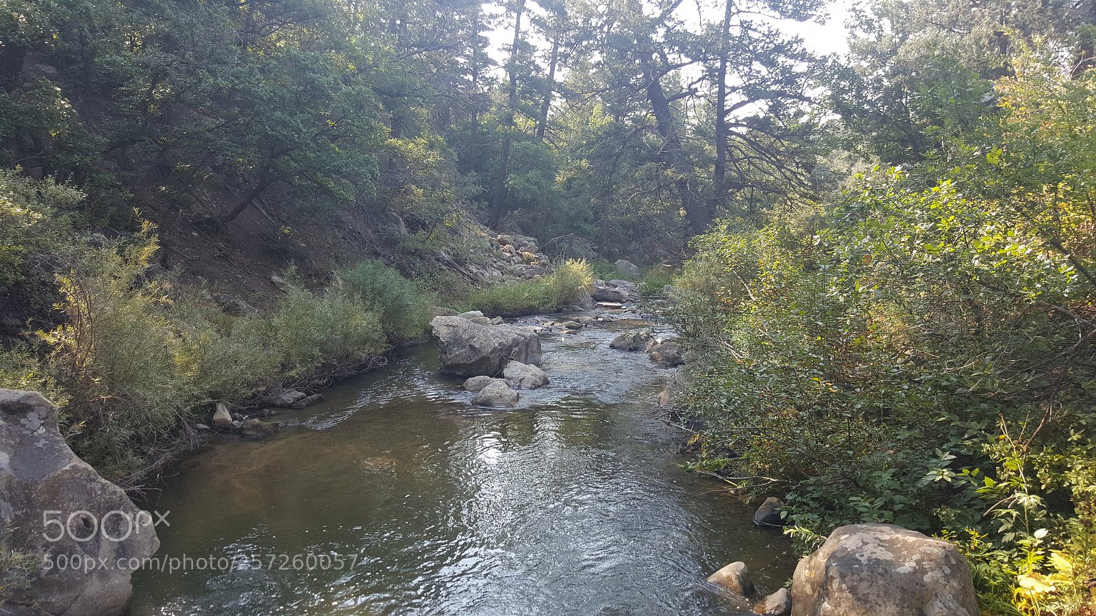 Samsung Galaxy Note5 sample photo. 20170902_092923.jpg photography