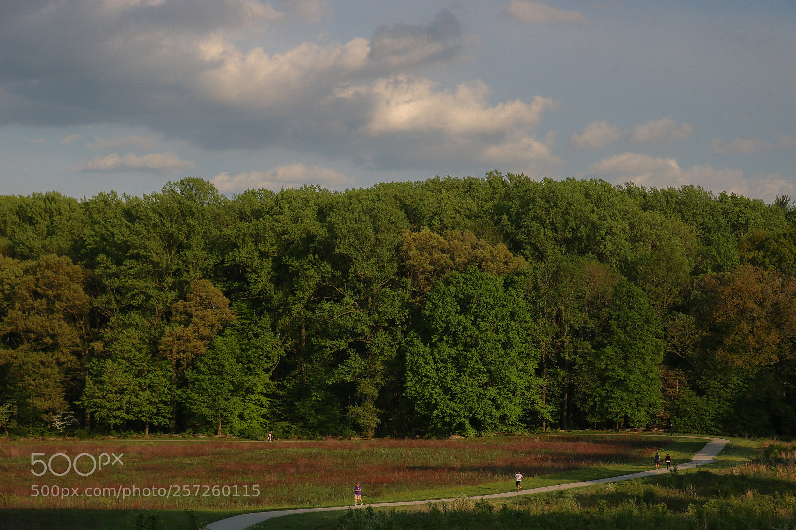 Canon EOS 750D (EOS Rebel T6i / EOS Kiss X8i) sample photo. Valley forge photography