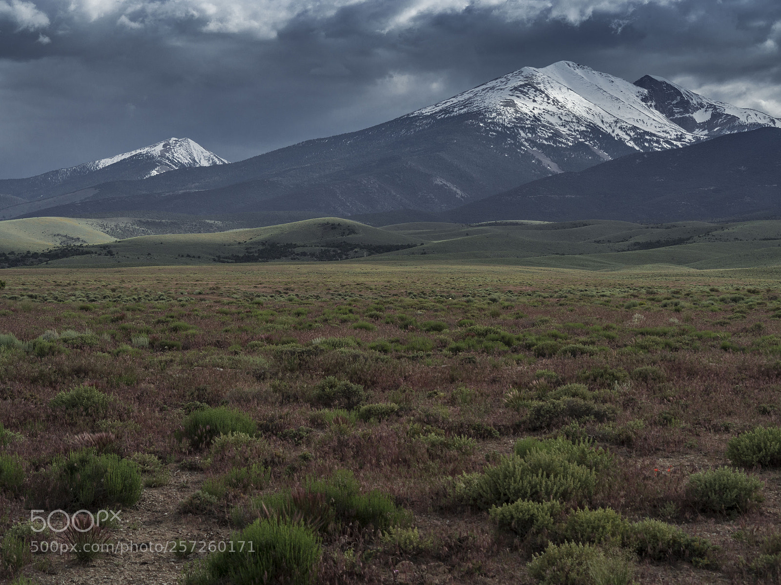 Olympus OM-D E-M10 sample photo. The great basin photography