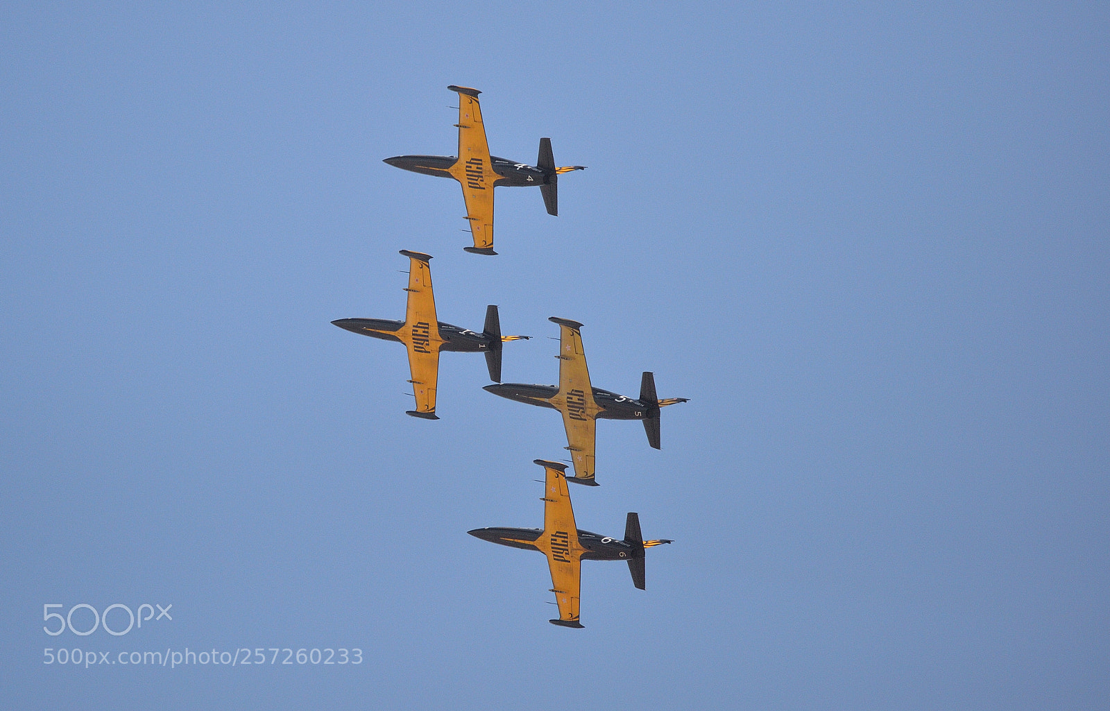 Nikon Df sample photo. Aerobatics photography