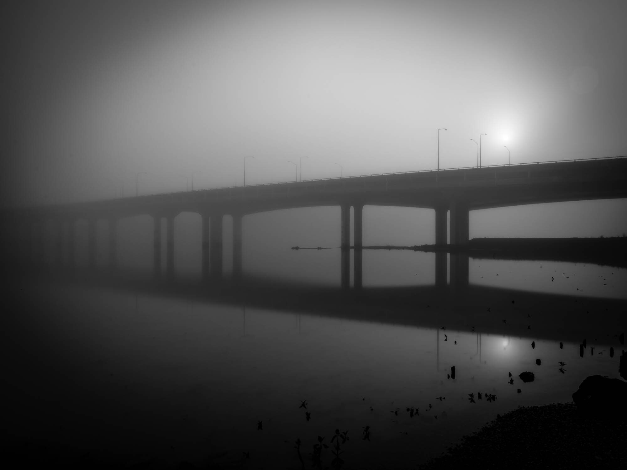 Hasselblad X1D-50c sample photo. Mangere bridge fog photography