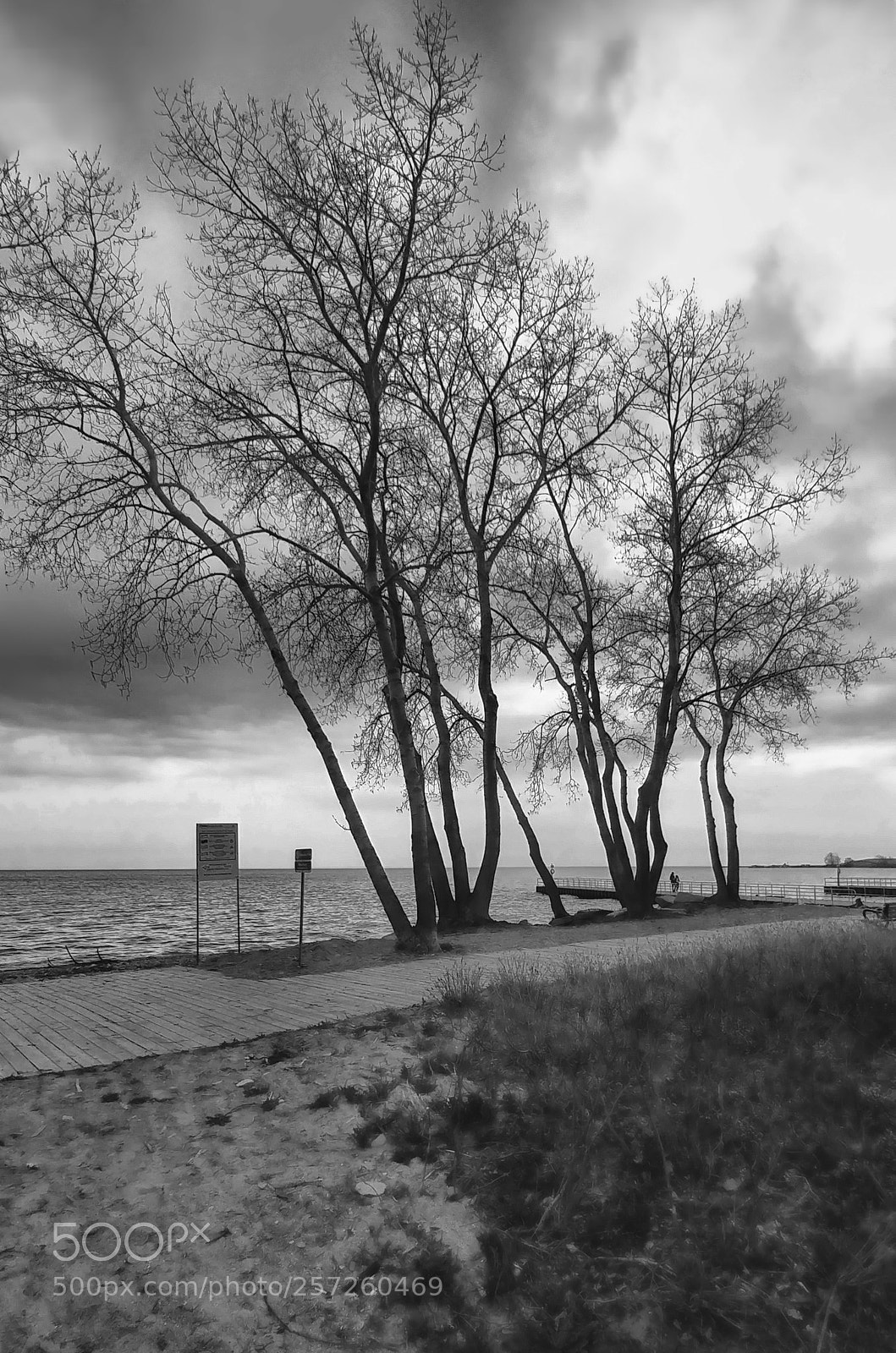 LG G5 sample photo. Romantic  weather photography