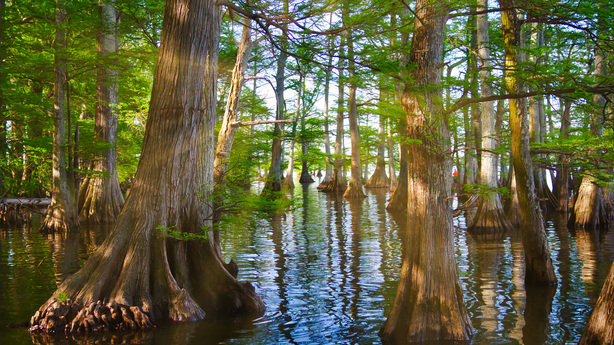 Canon EF 28-80mm f/2.8-4L sample photo. At the lake photography