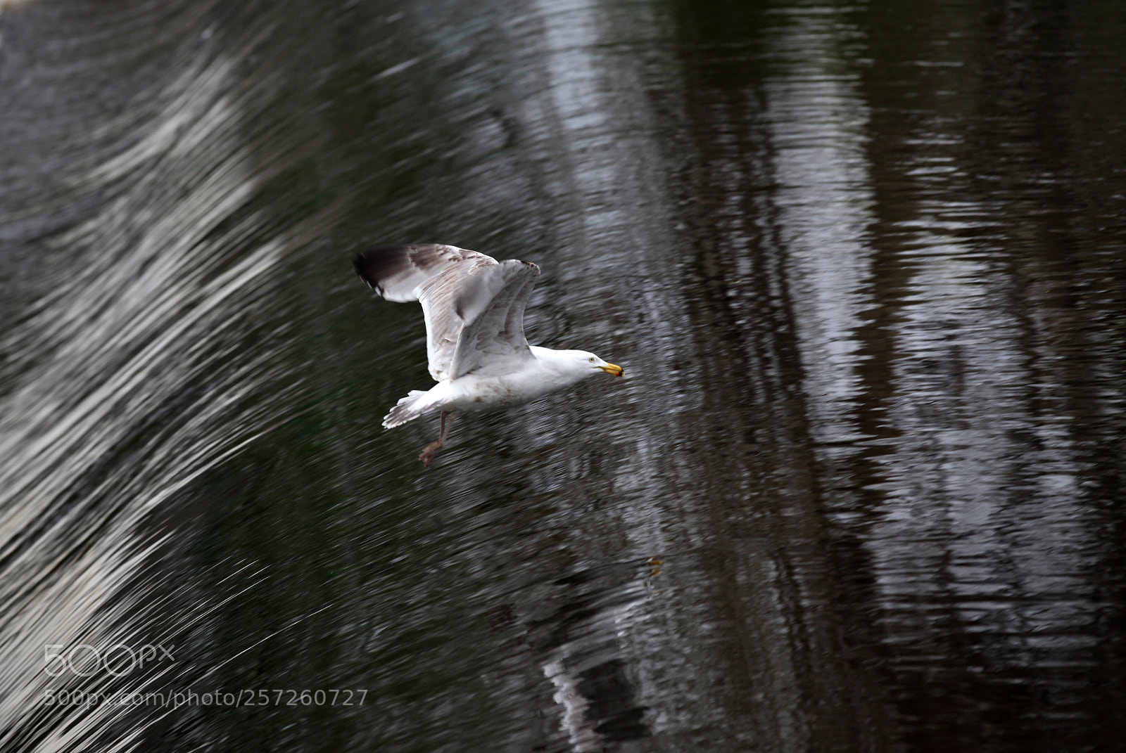 Canon EOS 5D Mark II sample photo. Flying over photography