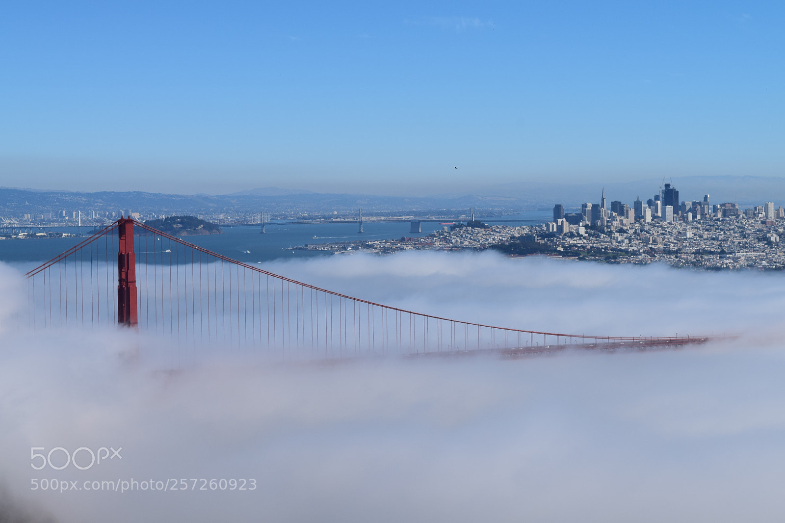 Nikon D3300 sample photo. San francisco bay area photography