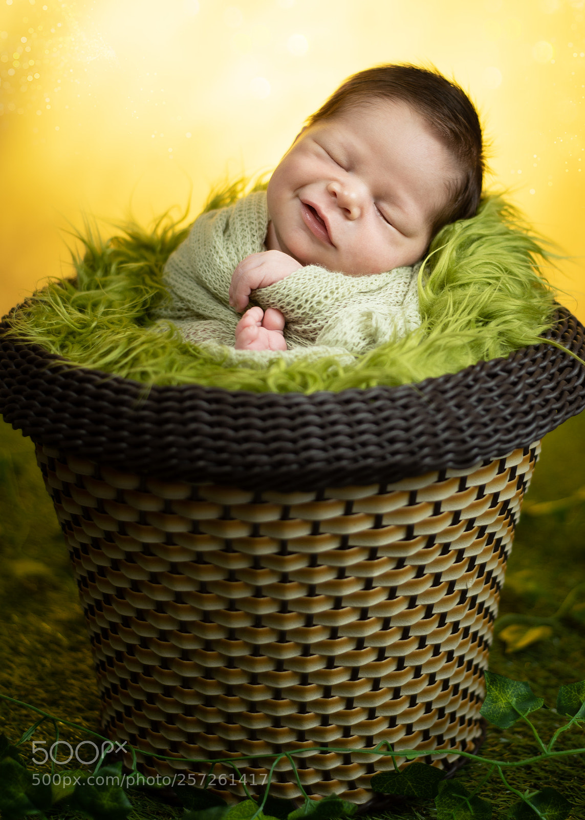Nikon D750 sample photo. Heitor - 11 days photography