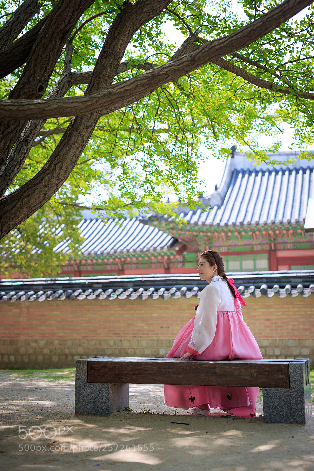 Canon EOS 6D sample photo. Korea tradition photography