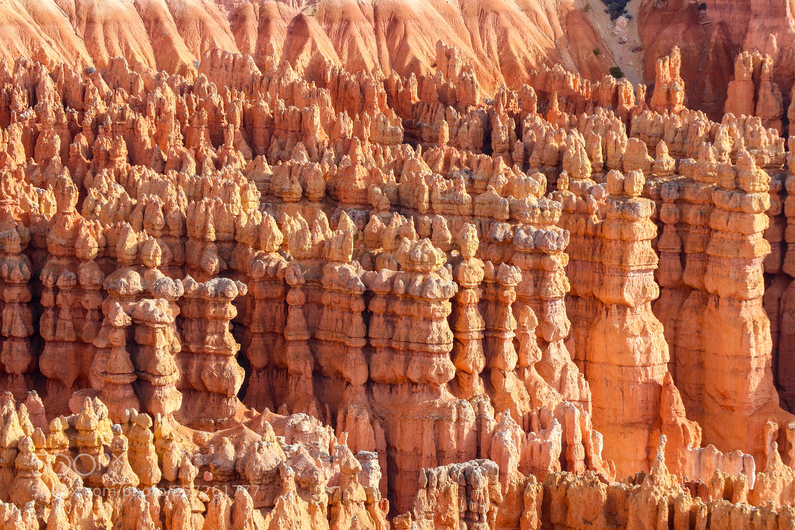 Canon EOS 80D sample photo. Bryce canyon national park photography