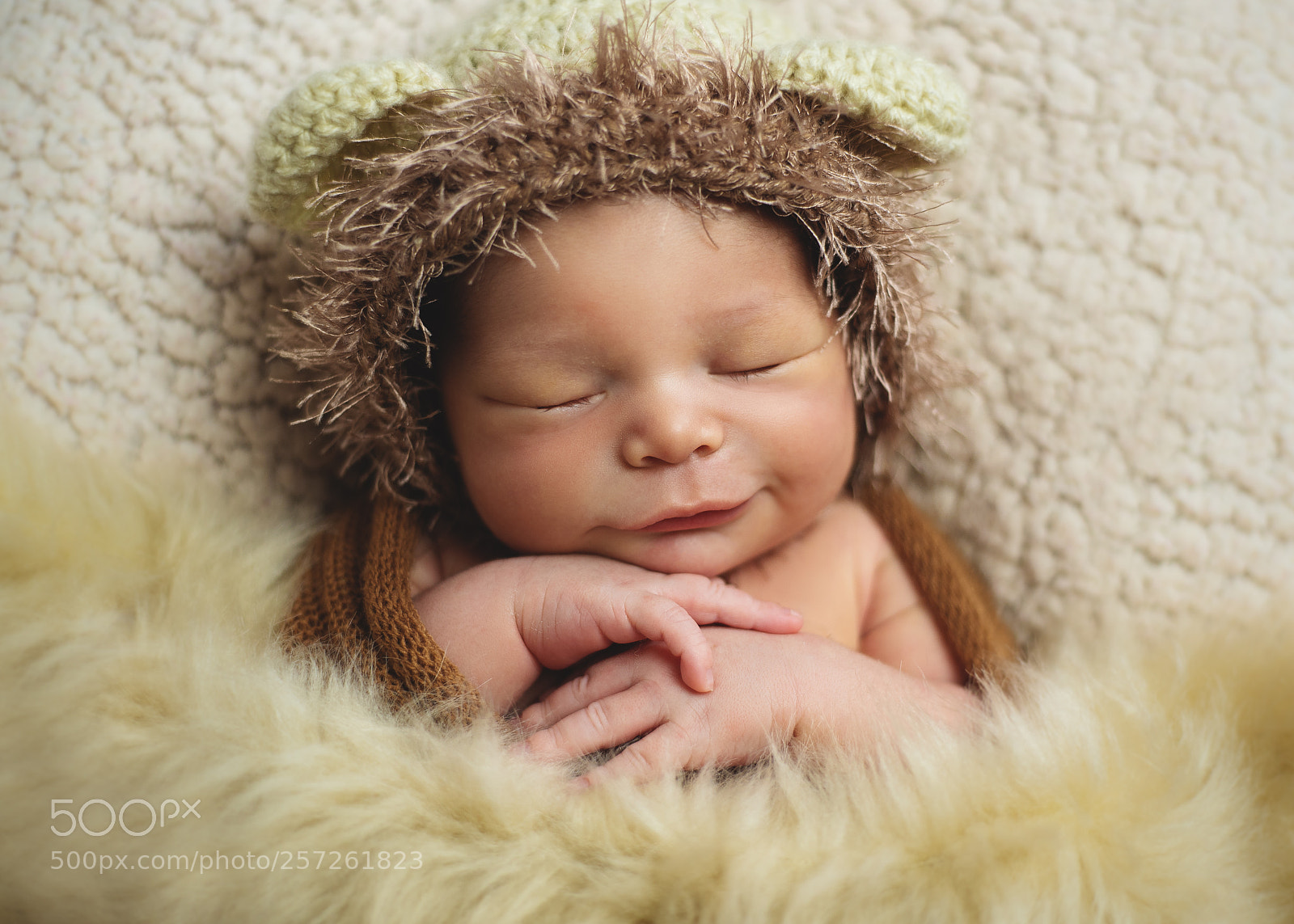 Nikon D750 sample photo. Baby lion photography