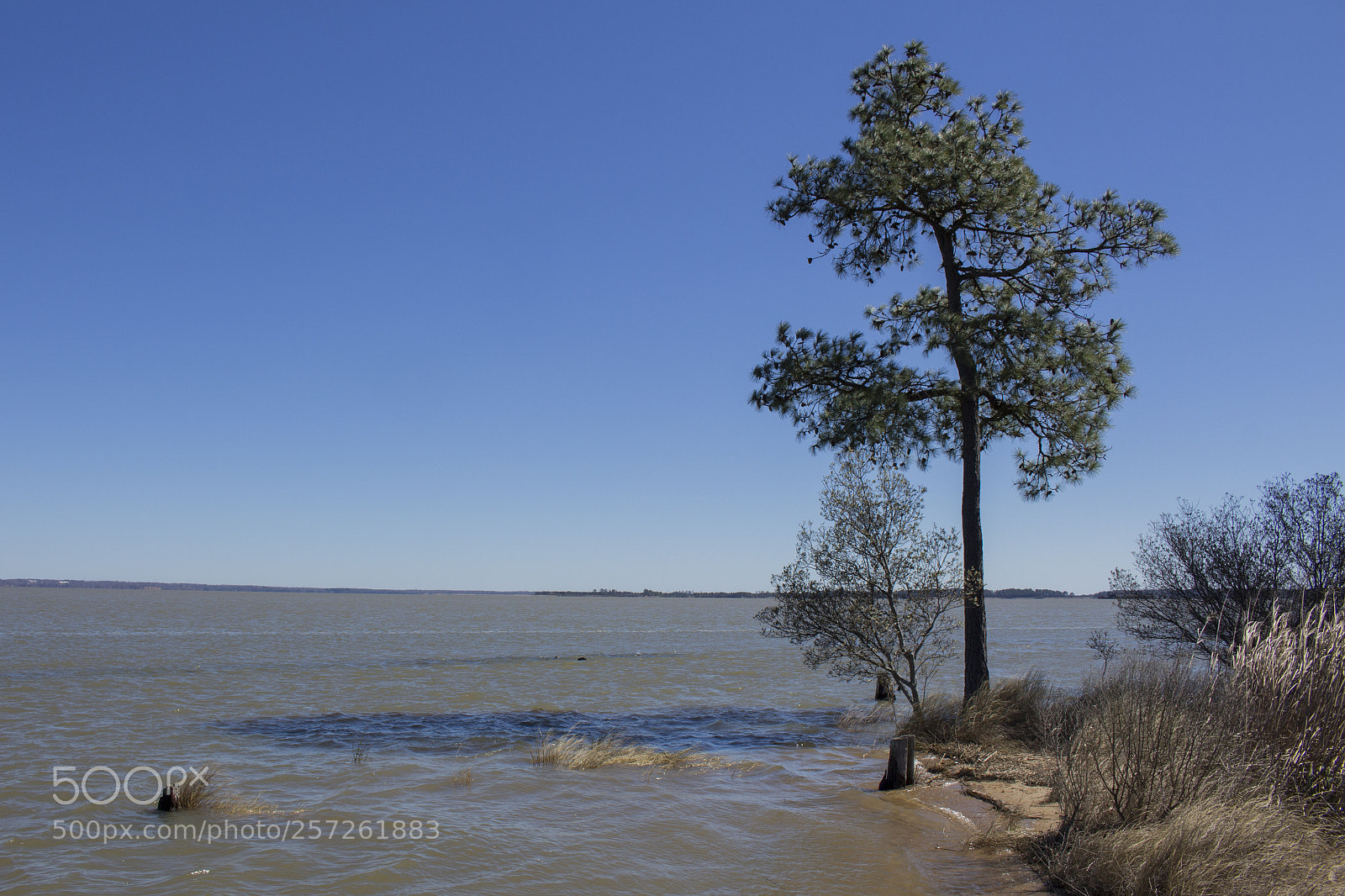 Canon EOS 700D (EOS Rebel T5i / EOS Kiss X7i) sample photo. Waterside oasis photography
