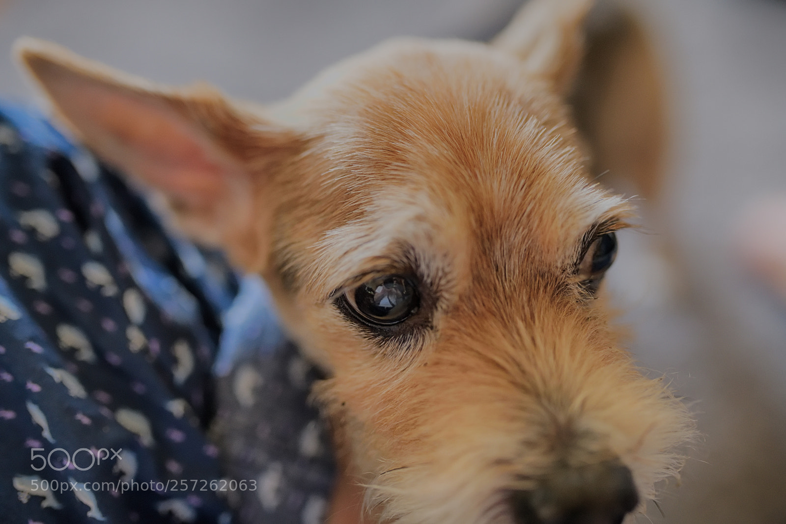 Nikon D850 sample photo. Ppu photography