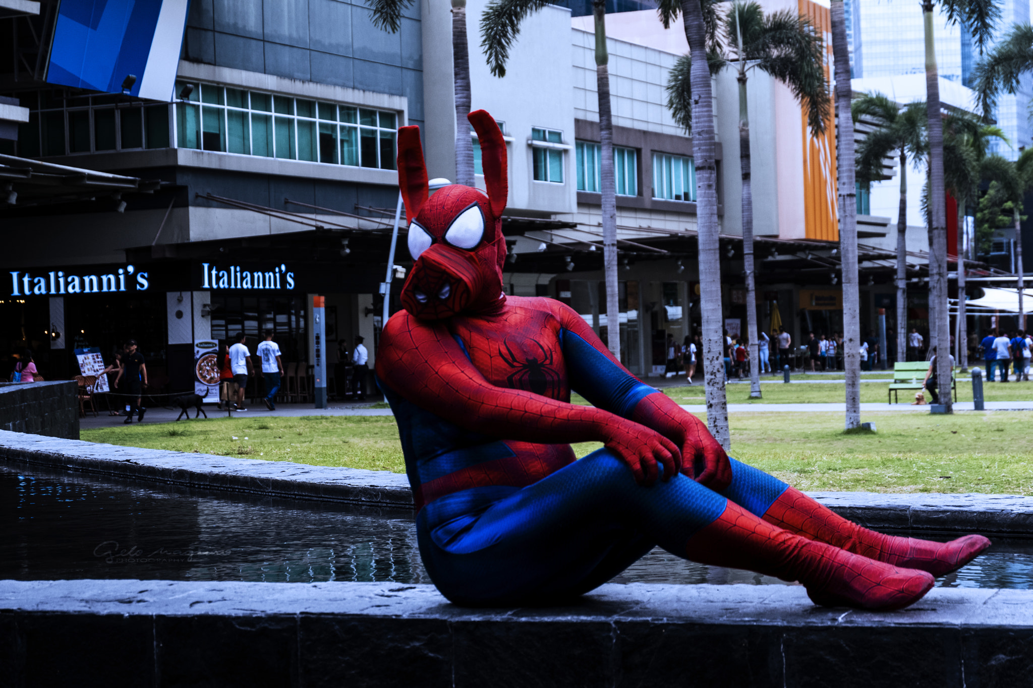 Fujifilm X-A3 sample photo. Spider pig photography