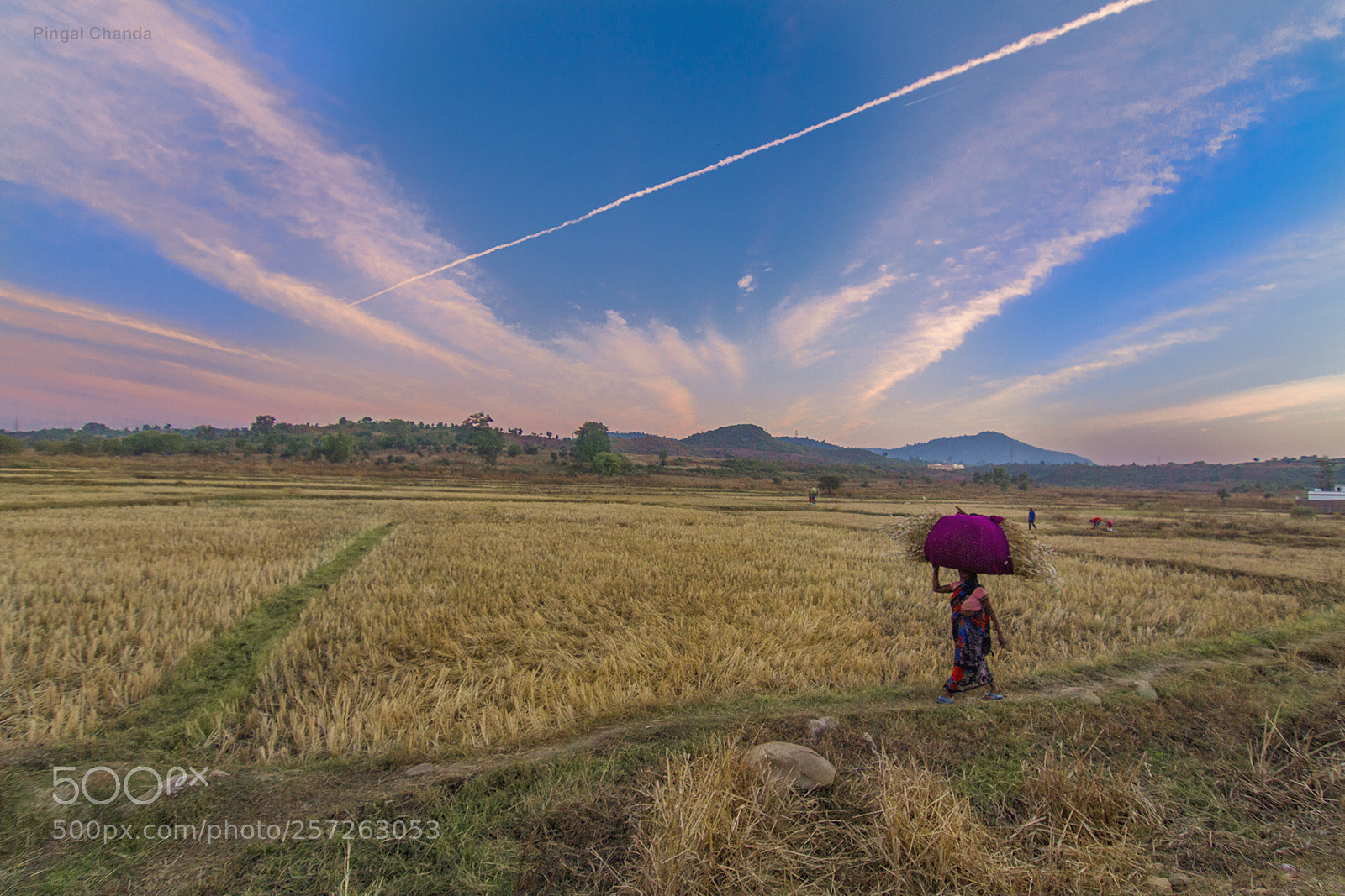 Canon EOS 7D sample photo. The woman photography