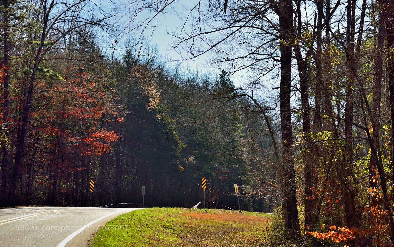 Nikon D800E sample photo. Driving the highways of photography