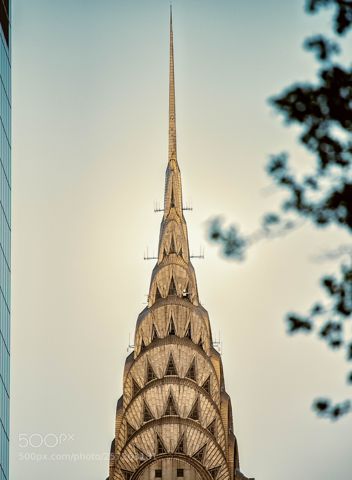 Nikon D810 sample photo. Chrysler building nyc photography