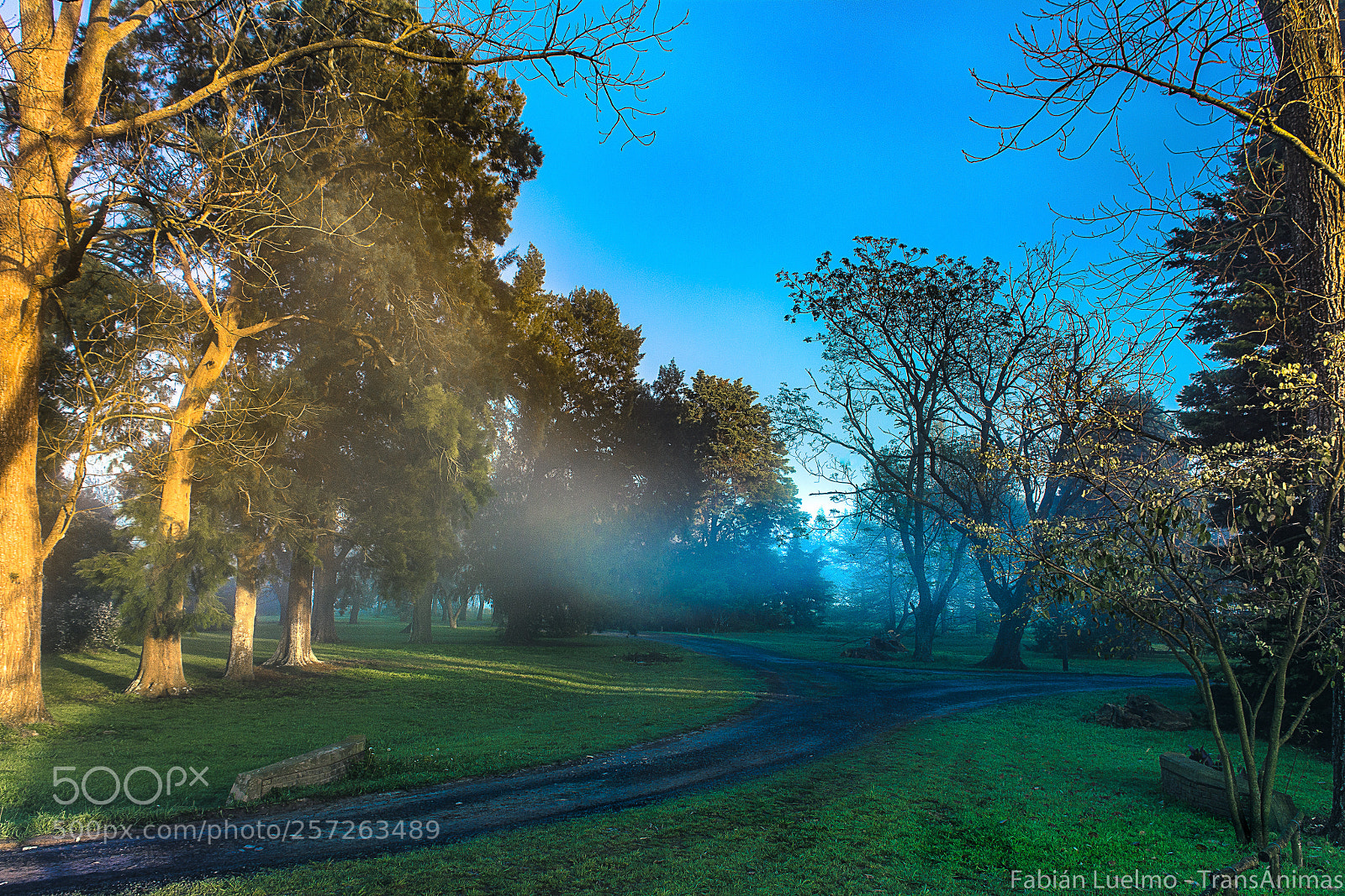 Nikon D5200 sample photo. Amanecer en la reserva photography