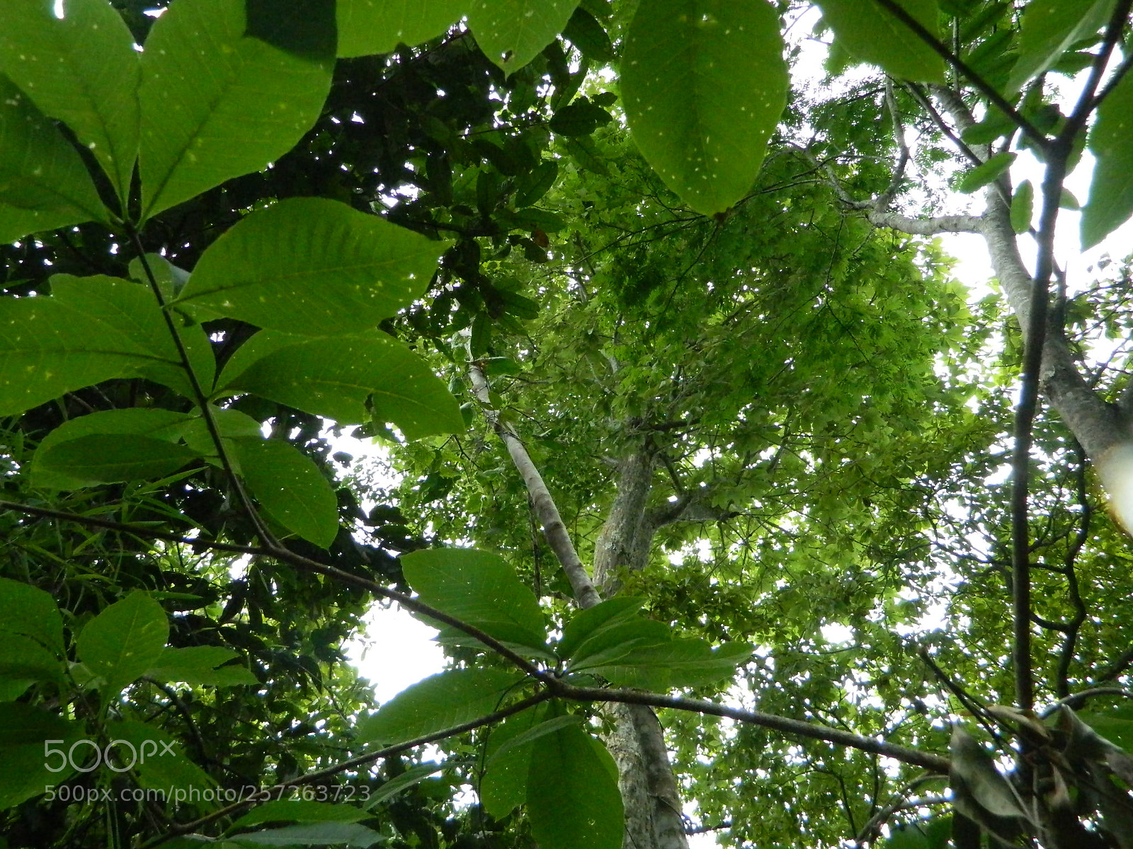 Nikon Coolpix L120 sample photo. 6.jpg photography
